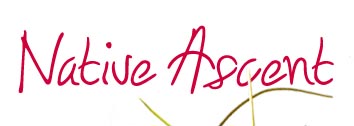 Native ascent logo